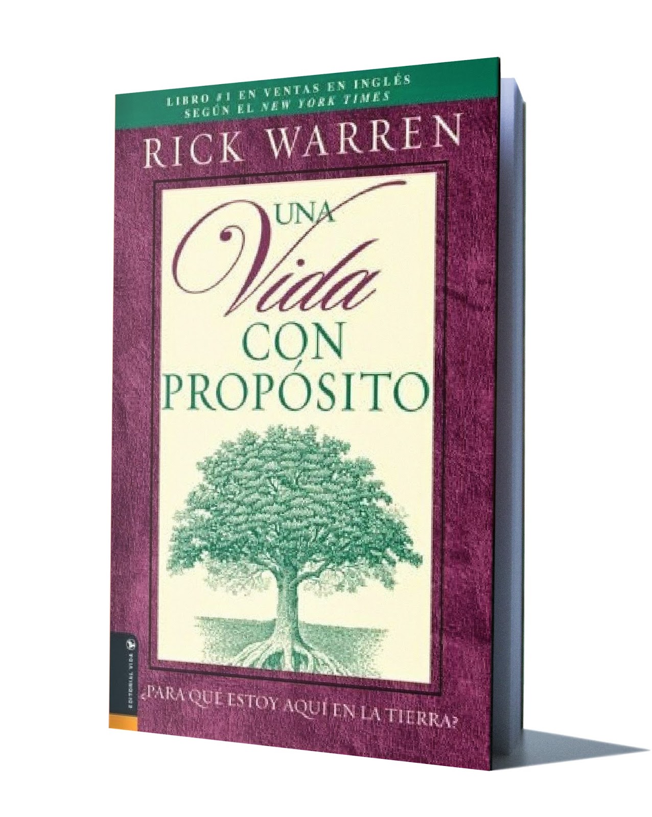 En este momento estás viendo ▷ Descargar: Una vida con propósito Rick Warren – PDF