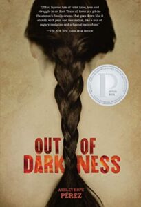 Lee más sobre el artículo ▷ Download: Out of Darkness – Ashley Hope Pérez PDF