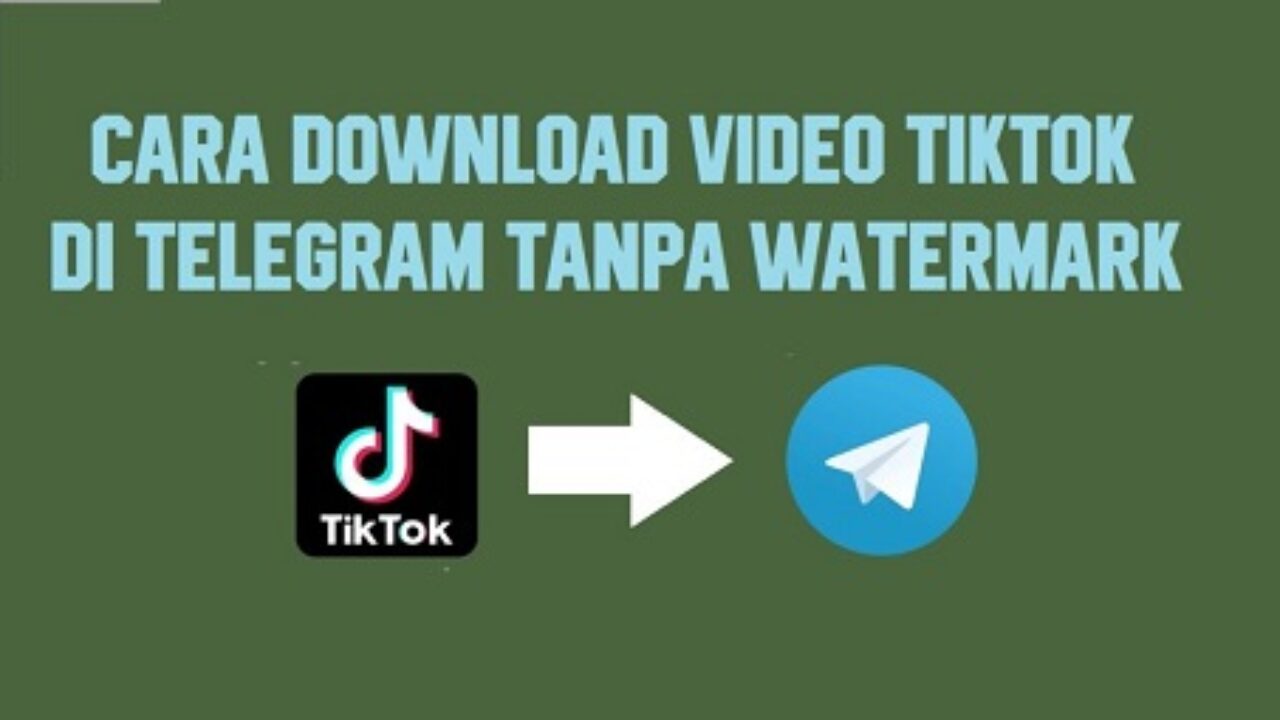 En este momento estás viendo ▷ Download Video TikTok Tanpa Watermark di Telegram! (2022)