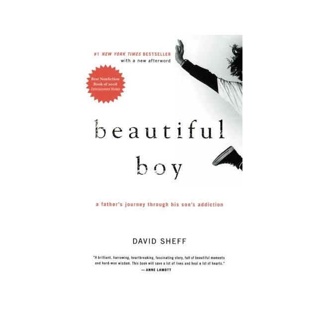 En este momento estás viendo ▷ Descargar: Libro: Beautiful boy – PDF