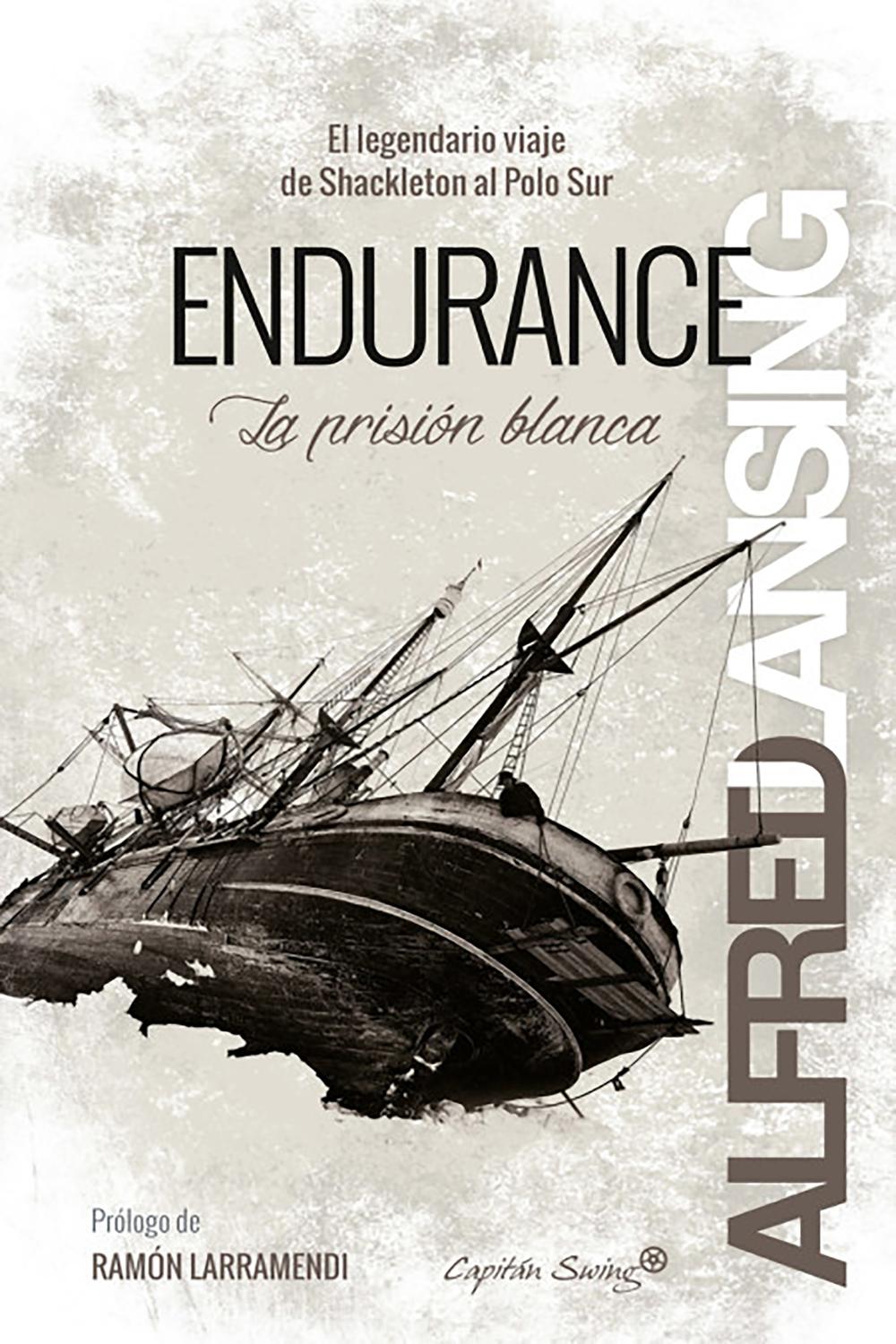 En este momento estás viendo ▷ Endurance libro – PDF