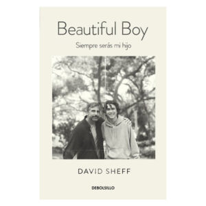 Lee más sobre el artículo ▷ Beautiful Boy Libro PDF